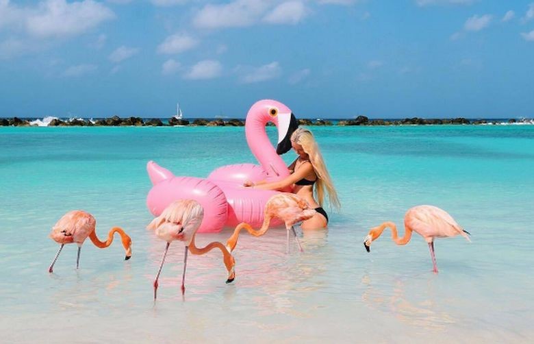 roz-flamingo. 